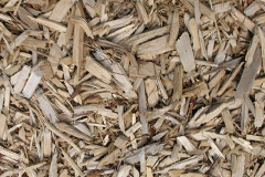biomass boilers Llansantffraed